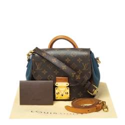 مملوكة مسبقًا حقيبة لوي فيتون ايدين صغيرة جلد و كانفاس مونوغرامي سيلست 