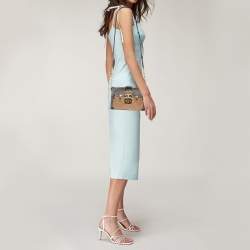 Pre Owned حقيبة كلتش لوي فيتون "ترنك" كانفاس مونوغرامي بوجهين