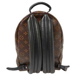 Louis Vuitton Monogram Canvas Palm Springs PM Backpack