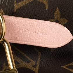 Pre Owned Louis Vuitton Monogram Canvas and Leather NeoNoe Bag