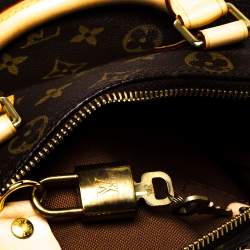 Pre Owned Louis Vuitton Monogram Canvas Speedy 25 Bag