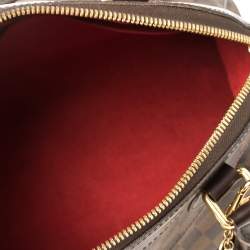 Pre Owned حقيبة لوي فيتون "تريفي" كانفاس دامييه إيبني PM