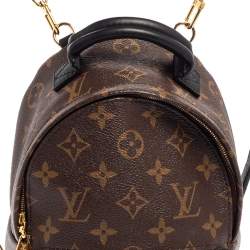 Pre Owned Louis Vuitton Monogram Canvas Mini Palm Springs Backpack