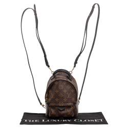 Pre Owned Louis Vuitton Monogram Canvas Mini Palm Springs Backpack