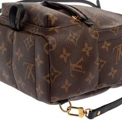 Pre Owned Louis Vuitton Monogram Canvas Mini Palm Springs Backpack