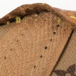 مملوكة مسبقًا Louis Vuitton Monogram Canvas Neverfull PM Bag