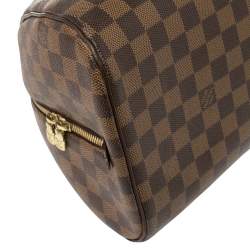 مملوكة مسبقًا Louis Vuitton Damier Ebene Canvas Ribera MM Bag