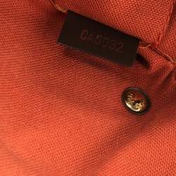 مملوكة مسبقًا Louis Vuitton Damier Ebene Canvas Ribera MM Bag