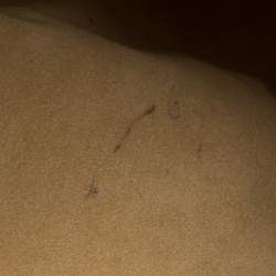 مملوكة مسبقًا حقيبة لوي فيتون غاليرا كانفاس مونوغرامية PM