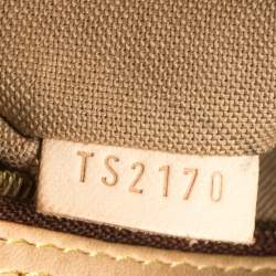 Pre Owned Louis Vuitton Monogram Canvas Delightful PM Bag