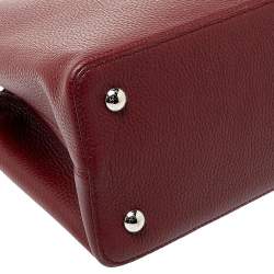 Pre Owned Louis Vuitton Bordeaux Taurillon Leather and Python Capucines MM Bag