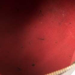 Pre Owned Louis Vuitton Damier Ebene Canvas Speedy 30 Bag