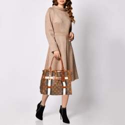 Pre Owned Louis Vuitton Monogram Canvas Limited Edition Tissue Rayures GM Bag