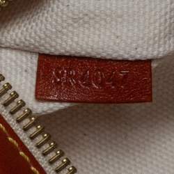 Pre Owned Louis Vuitton Monogram Canvas Limited Edition Tissue Rayures GM Bag