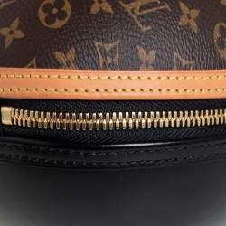 Pre Owned Louis Vuitton Monogram Canvas and Leather LV Egg Bag