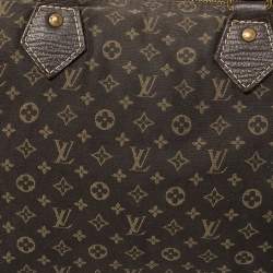Pre Owned Louis Vuitton Fusain Monogram Mini Lin Canvas Speedy 30 Bag
