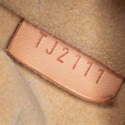 Pre Owned حقيبة لوي فيتون إيفورا كانفاس دامييه ازور متوسطة