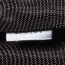 Pre Owned Louis Vuitton Glacier Taiga Leather Pegase Light 55 Luggage