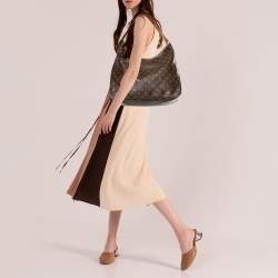 Pre Owned Louis Vuitton Monogram Canvas Delightful MM Bag