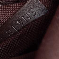 مملوكة مسبقًا Louis Vuitton Damier Ebene Canvas Saint Paul Pochette