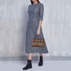 مملوكة مسبقًا Louis Vuitton Damier Sauvage Calfhair Limited Edition Lionne Spawn Bag