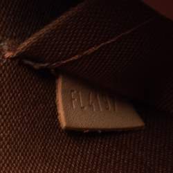 Pre Owned حقيبة لوي فيتون ألما كانفاس مونوغرامي BB