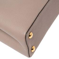 مملوكة مسبقًا Louis Vuitton Galet Taurillon Leather And Python Capucines BB Bag