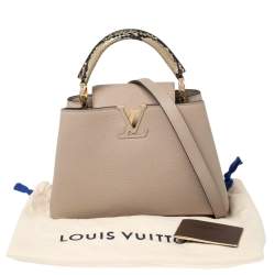 مملوكة مسبقًا Louis Vuitton Galet Taurillon Leather And Python Capucines BB Bag