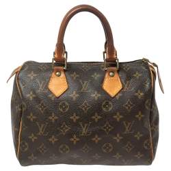 Pre Owned Louis Vuitton Monogram Canvas and Leather Speedy 25 Bag