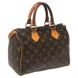 Pre Owned Louis Vuitton Monogram Canvas and Leather Speedy 25 Bag