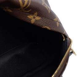 Pre Owned Louis Vuitton Monogram Canvas Mini Palm Springs Backpack