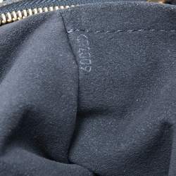 Pre Owned Louis Vuitton Monogram Canvas Limited Edition Irene Bag