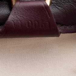 Pre Owned Louis Vuitton Monogram Mini Lin Canvas Josephine GM Bag