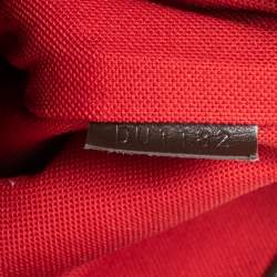 Pre Owned حقيبة لوي فيتون بلومز بيري كانفاس دامييه إيبين PM 