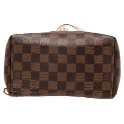 Pre Owned حقيبة ظهر لوي فيتون كلابتون جلد وكانفاس دامييه إيبين كريمي