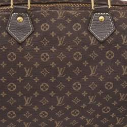 مملوكة مسبقًا حقيبة لوي فيتون سبيدي 30 كانفاس لين مونوغرامي صغيرة