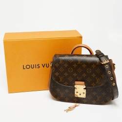 Pre Owned حقيبة لوي فيتون ايدين كانفاس مونوغرامي جملي متوسطة