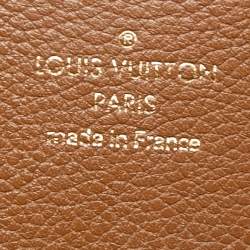 Pre Owned حقيبة لوي فيتون ايدين كانفاس مونوغرامي جملي متوسطة