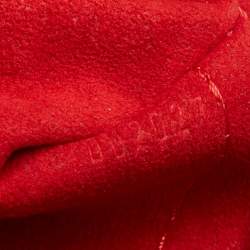 Pre Owned حقيبة لوي فيتون كانفاس دامييه إيبين بيركلي 