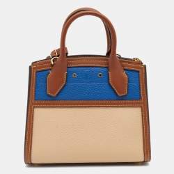 مملوكة مسبقًا حقيبة لوي فيتون سيتي ستيامير جلد تاريلون متعدد الألوان صغيرة