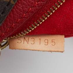 مملوكة مسبقًا حقيبة لوي فيتون نانو بالاس كانفاس مونوغرامي