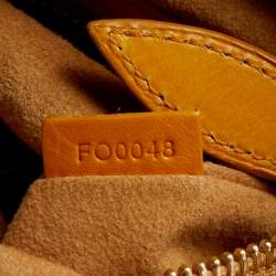 مملوكة مسبقًا حقيبة لوي فيتون إصدار محدود ريتشارد برينس اكواريل جاميه كانفاس مونوغرامي ألوان مائية