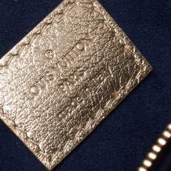 Louis Vuitton Gold Monogram Embossed Coussin PM Bag
