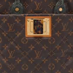 Pre Owned Louis Vuitton Monogram Canvas Limited Edition Etoile Exotique MM Bag