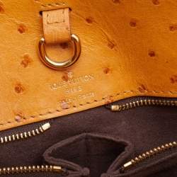 Pre Owned Louis Vuitton Monogram Canvas Limited Edition Etoile Exotique MM Bag