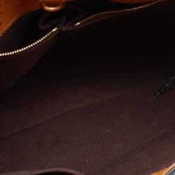 Pre Owned Louis Vuitton Monogram Canvas Limited Edition Etoile Exotique MM Bag