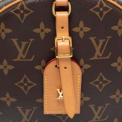 Louis Vuitton Monogram Canvas Boite Chapeau Souple MM Bag