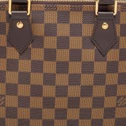 Pre Owned Louis Vuitton Damier Ebene Canvas Alma PM Bag