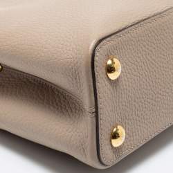 Pre Owned حقيبة لوي فيتون كابوسينس بي بي جلد ثعبان وغاليت توريلون