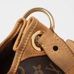 مملوكة مسبقًا حقيبة لوي فيتون غاليريا كانفاس مونوغرامية PM